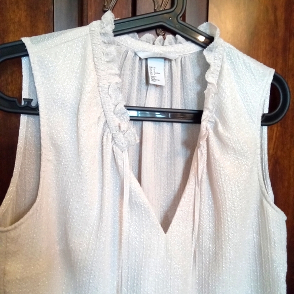 H&M Sleeveless Ruffle V-Neckline Blouse with Tassel Ties - Picture 8 of 10